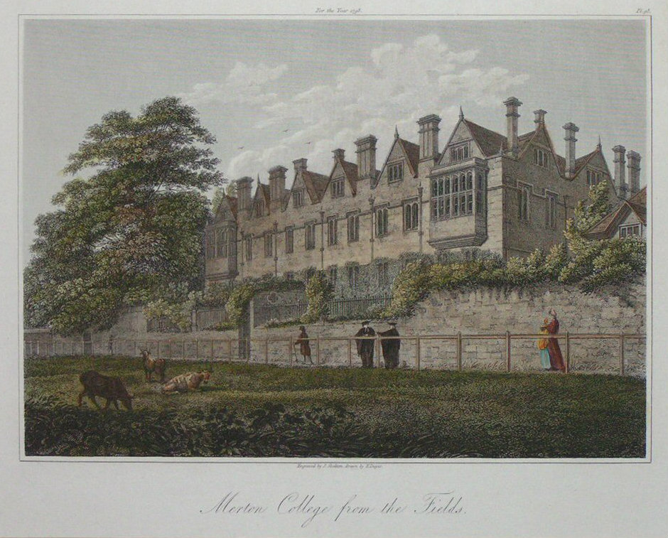 Print - Merton College from the Fields - Skelton